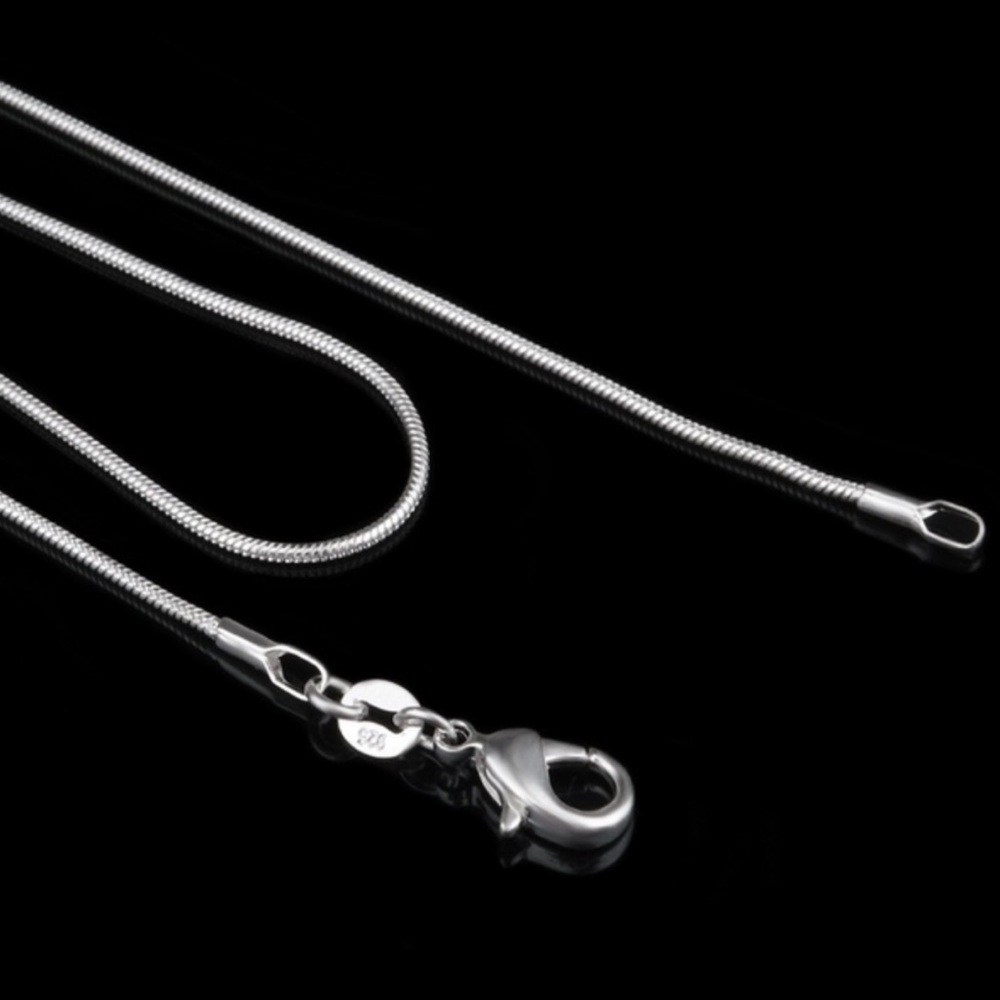 DO NOT PURCHASE ITS FOR SBJORNSSTERLING SILVER NECKLACE - Picture 5 of 6